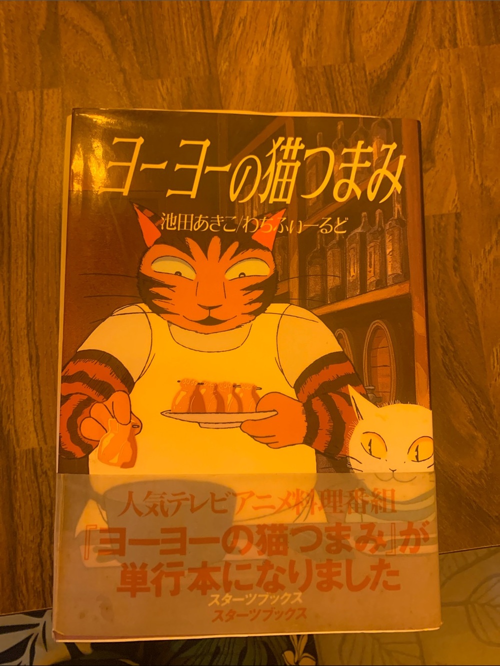 wachfield series book by Ikeda Akiko Cat Dayan Book